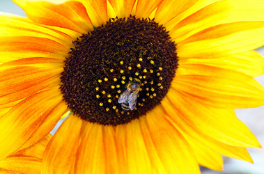 Similar image 8226777