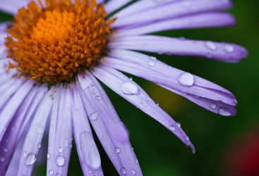 Similar image 8226778