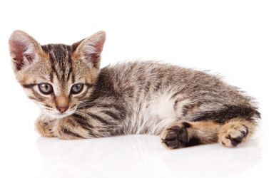 Similar image 8226791