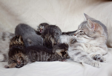 Similar image 8226792