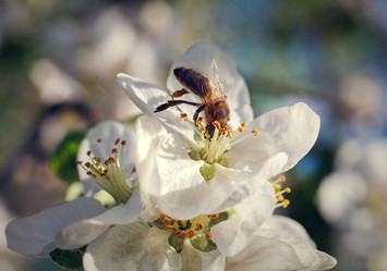 Similar image 8226806