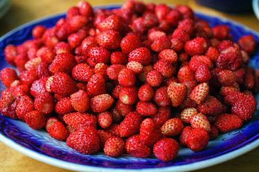 Similar image 8226810