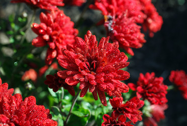 Similar image 8226812