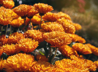 Similar image 8226813