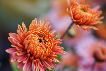 Similar image 8226820