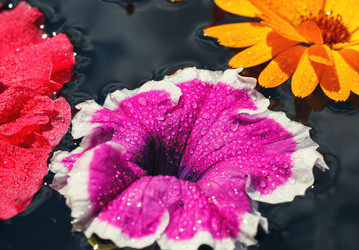 Similar image 8226830