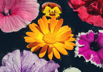 Similar image 8226834