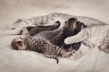 Similar image 8226835