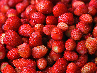 Similar image 8226836