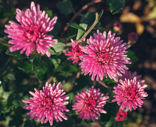 Similar image 8226838