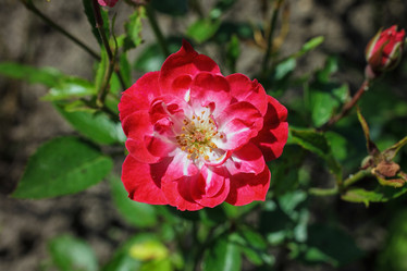 Similar image 8226844