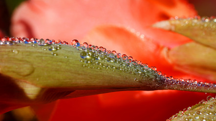 Similar image 8226853