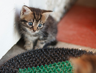 Similar image 8226870