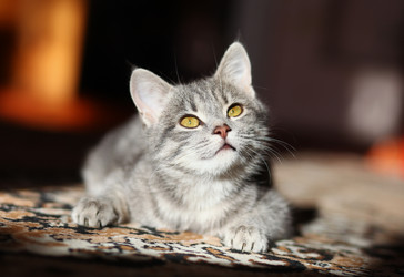 Similar image 8226886