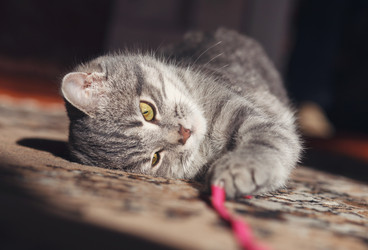 Similar image 8226887