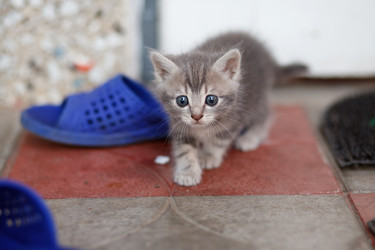 Similar image 8226888