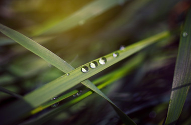 Similar image 8226889