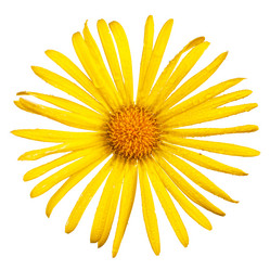 Similar image 8226890