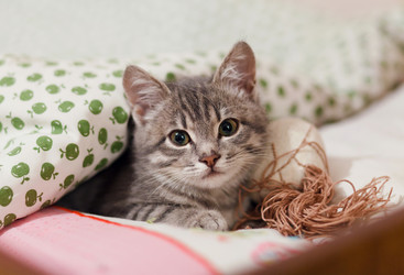 Similar image 8226892