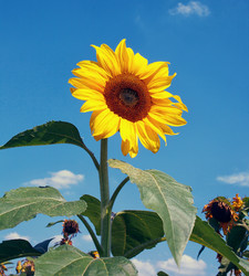 Similar image 8226900