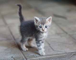 Similar image 8226902