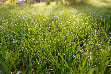 Similar image 8226904