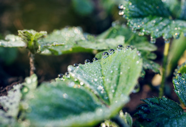 Similar image 8226905