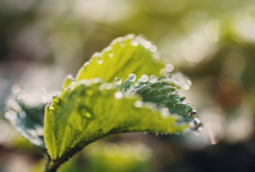 Similar image 8226907