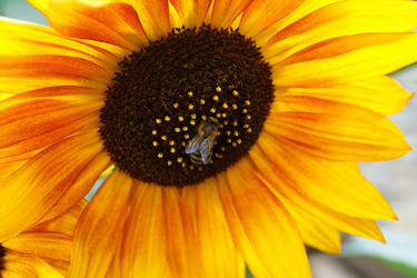 Similar image 8226908