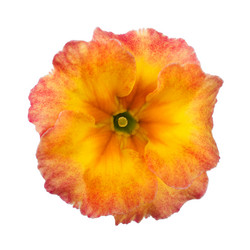 Similar image 8226911