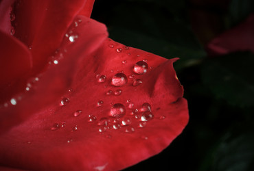 Similar image 8226912