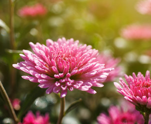 Similar image 8226928