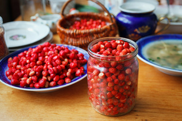 Similar image 8226929