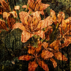 Similar image 8226963