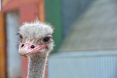 Similar image 8227191