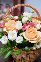 Similar image 8227195