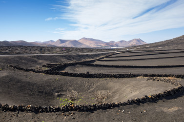 Similar image 8227271