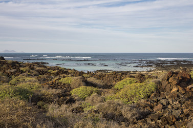 Similar image 8227320