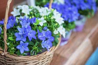 Similar image 8227452