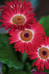 Similar image 8227453