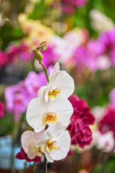 Similar image 8227456