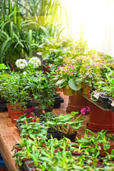 Similar image 8227457