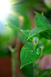 Similar image 8227459