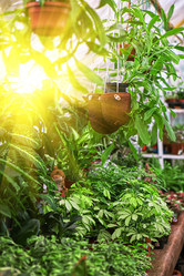 Similar image 8227460