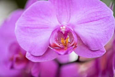 Similar image 8227461