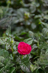 Similar image 8227464