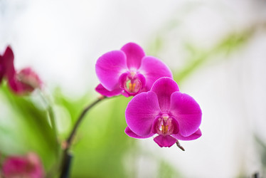 Similar image 8227470