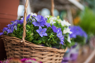 Similar image 8227472