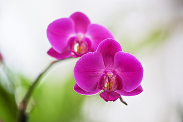 Similar image 8227473