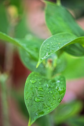 Similar image 8227475